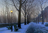 Dolphin Galleries A Cold Winter's Night