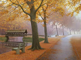FOREST SPLENDOR