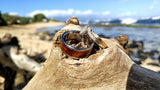 Dark Koa Wood Inlay Titan Ring Band