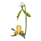 Mistletoe