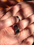 Titanring mit zwei Schildkröten